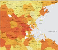 Netflix visualization