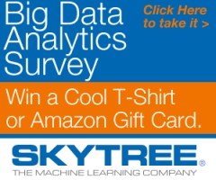 Skytree Big Data Analytics Survey
