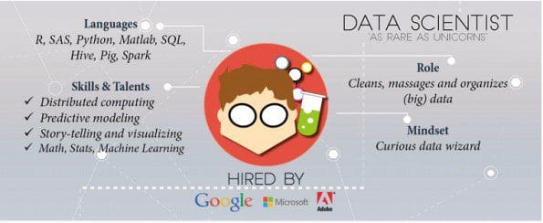 data-scientist-infographic