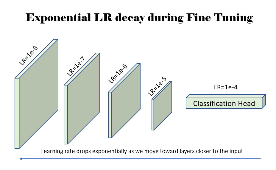 A Practical Guide to Transfer Learning using PyTorch