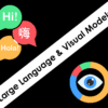 AI: Large Language & Visual Models