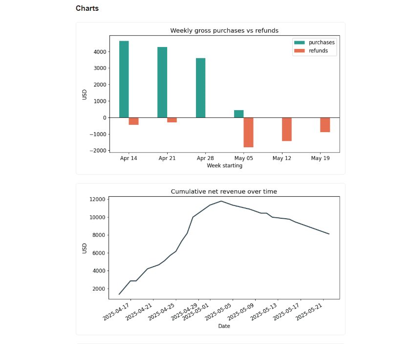 Turn Any CSV into an Executive Report with Python and AI