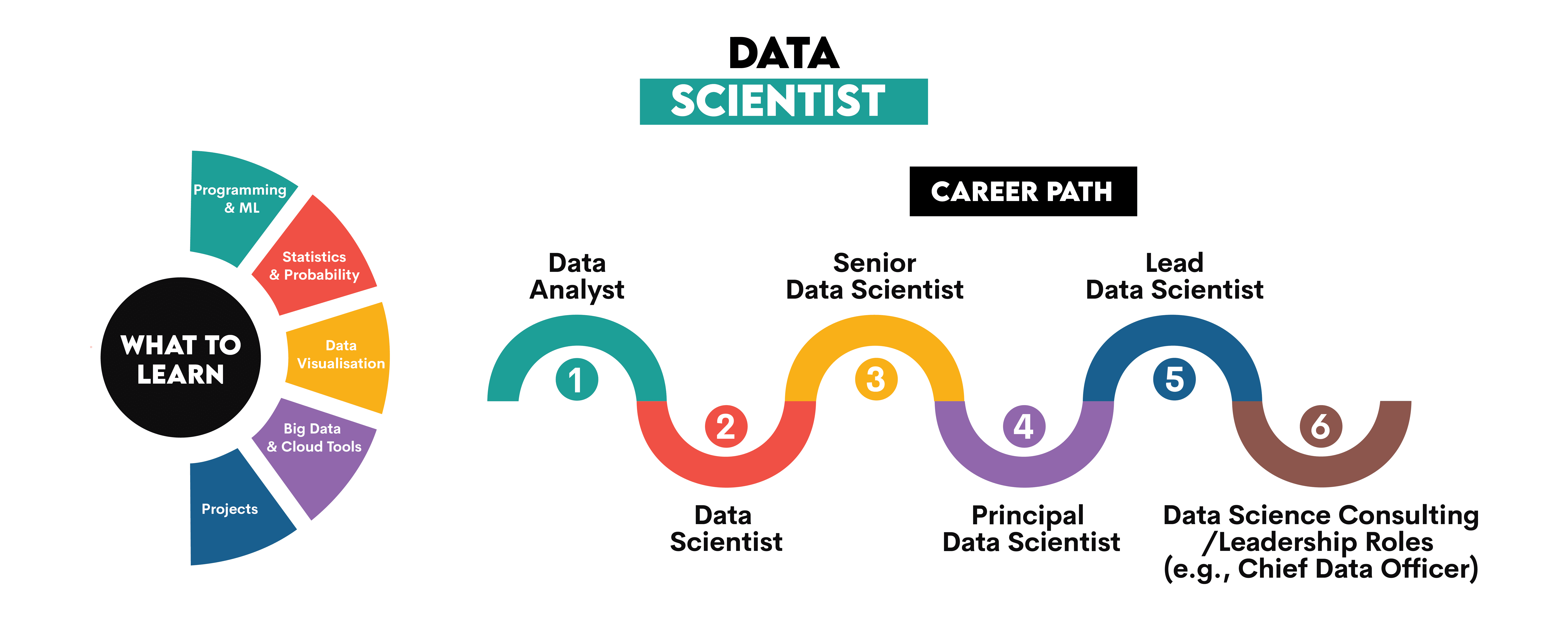 Data Scientist Career Path