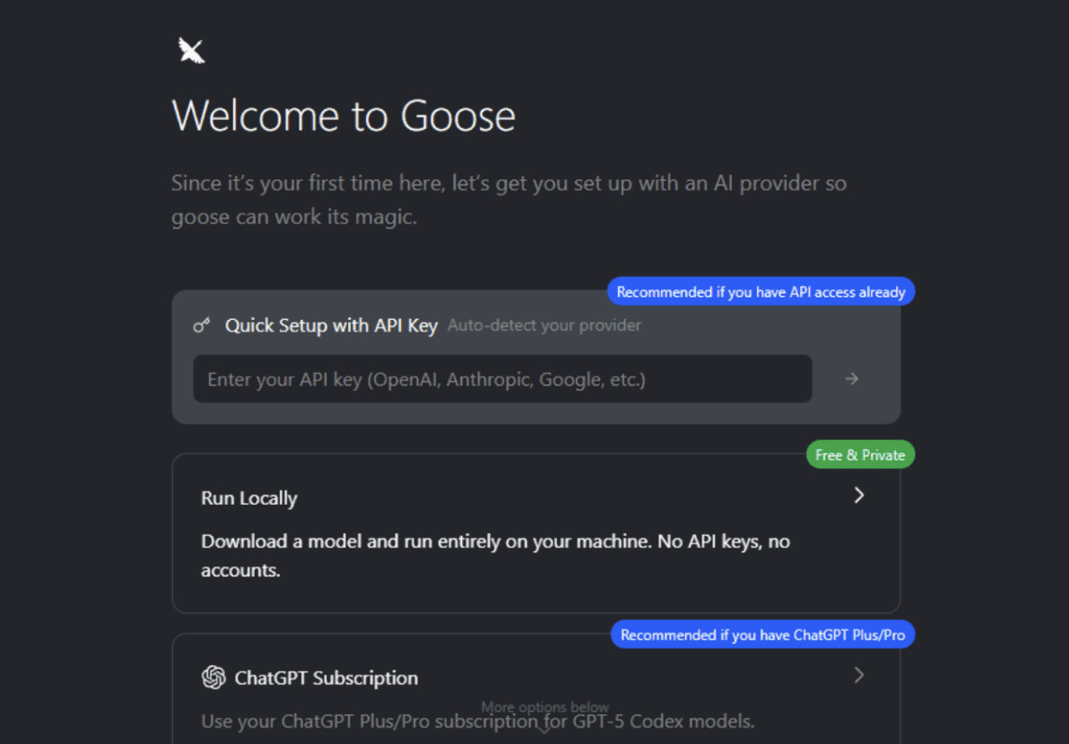 Goose initial setup and configuration