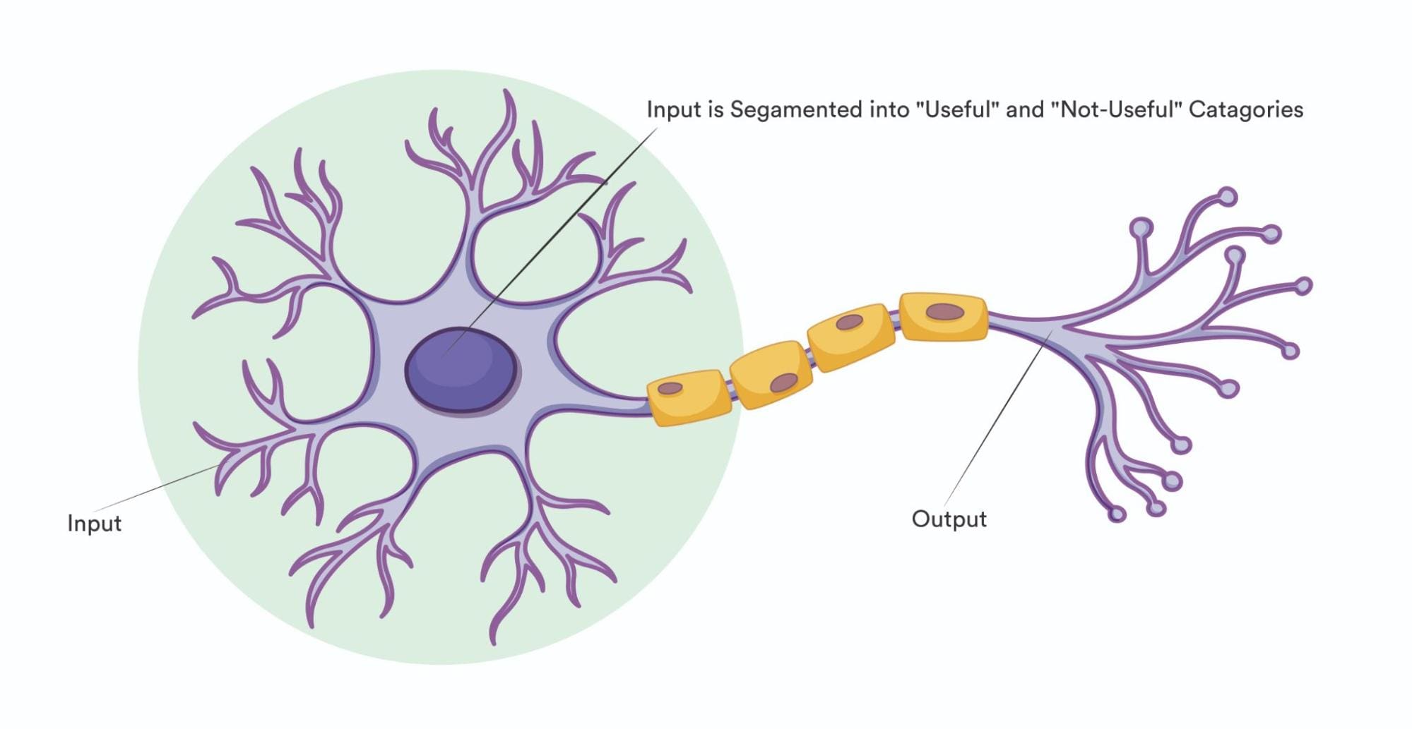 How Activation Functions Work in Deep Learning