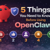 5 Things You Need to Know Before Using OpenClaw