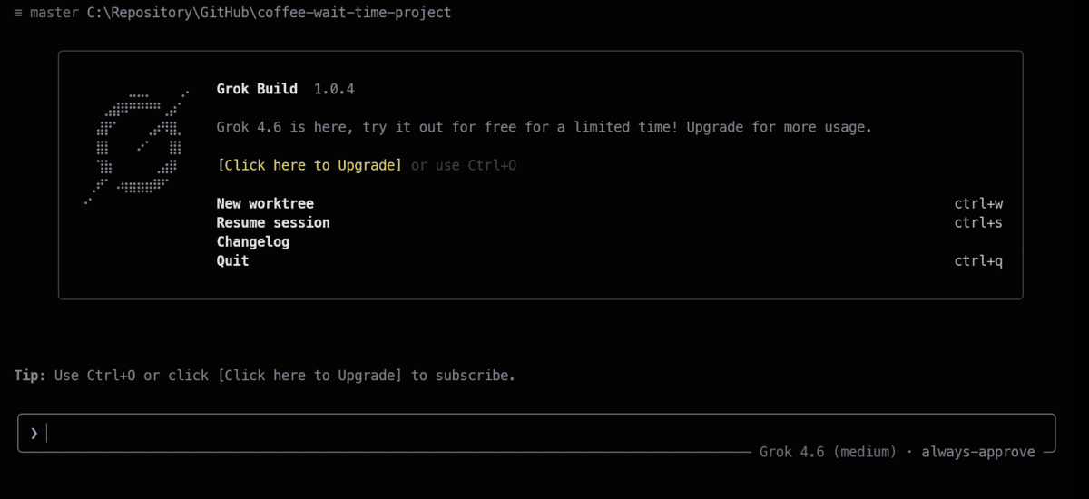 Grok Build interactive terminal interface on launch