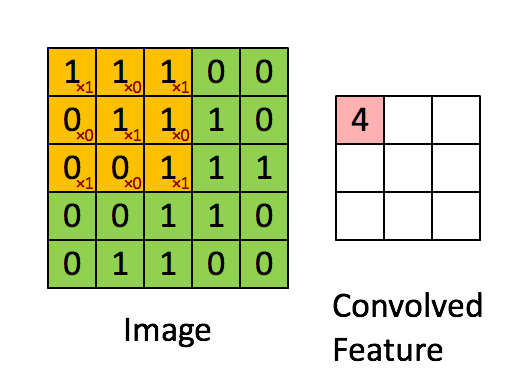 Building a Convolutional Neural Network with PyTorch
