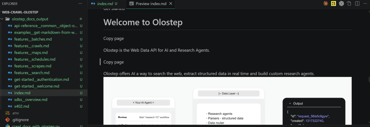 Clean Markdown Output Example