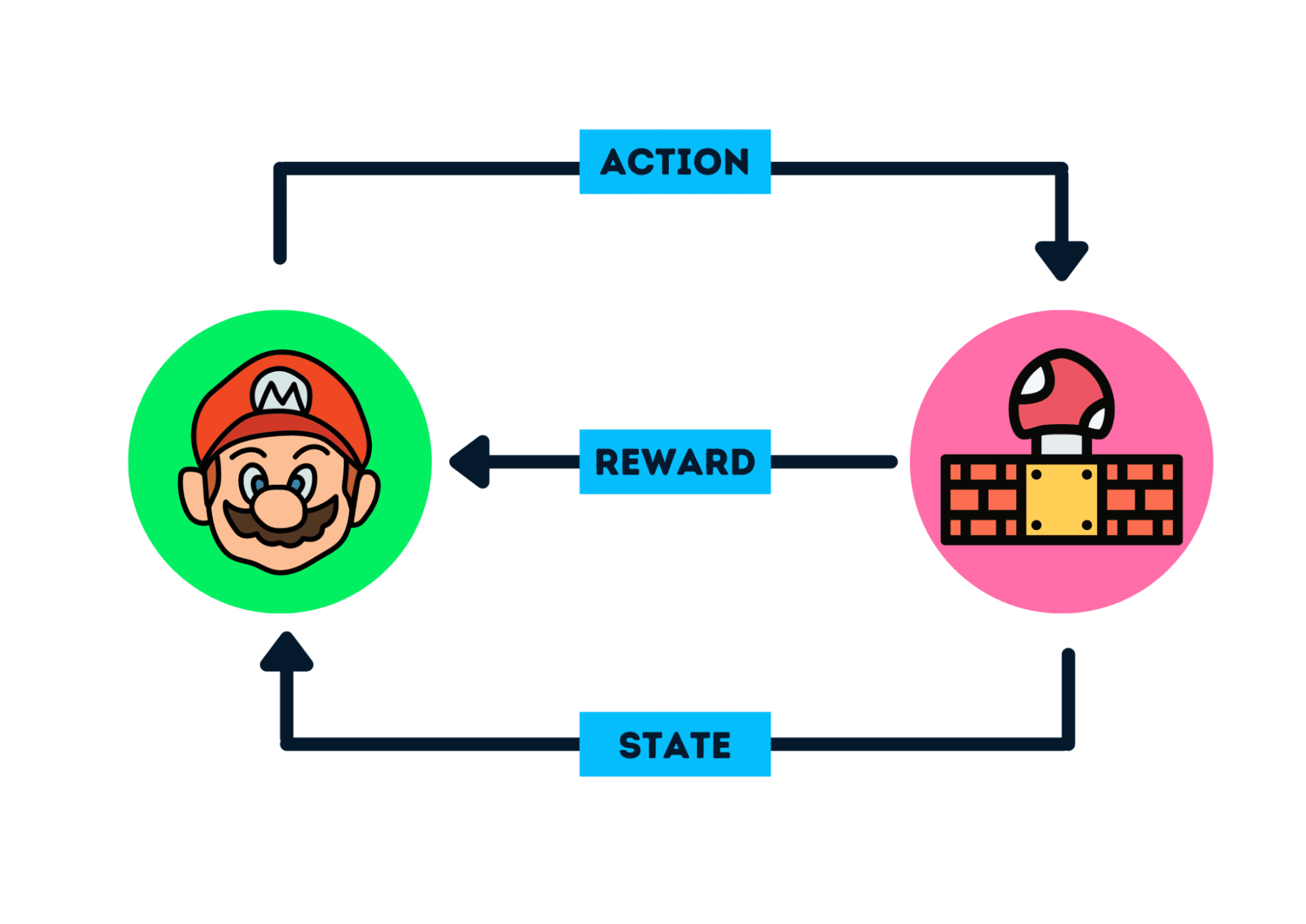 Teaching an AI to Play the Snake Game Using Reinforcement Learning