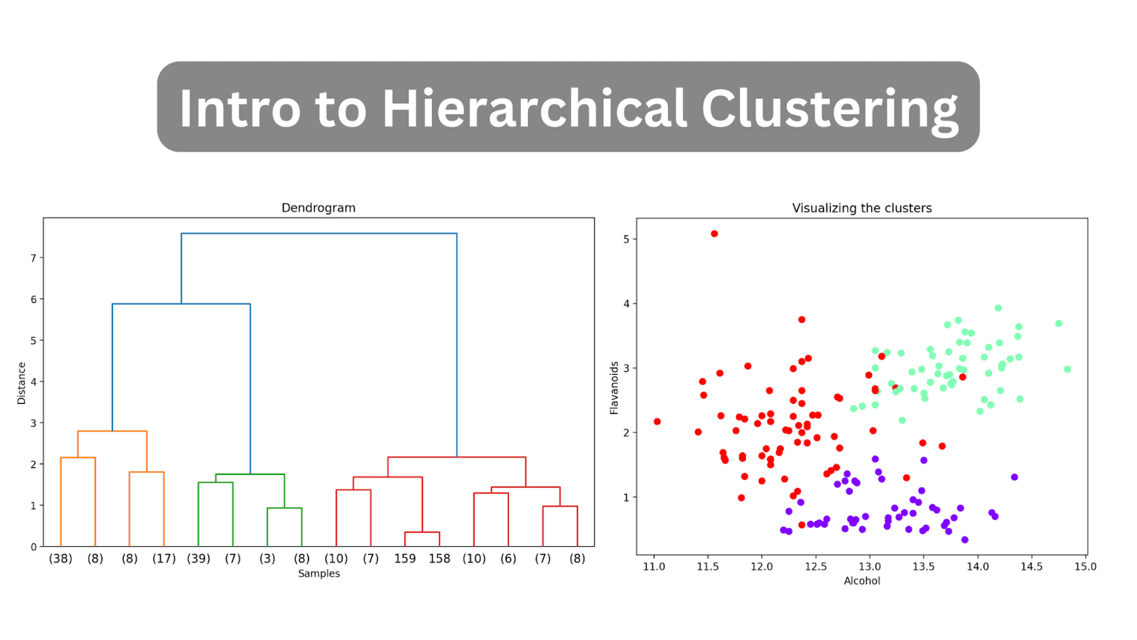 Unveiling Hidden Patterns: An Introduction to Hierarchical Clustering