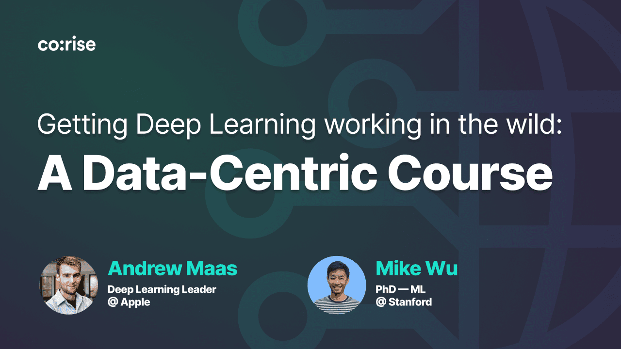 Getting Deep Learning working in the wild: A Data-Centric Course