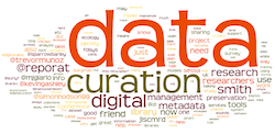 Data Curation