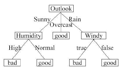 Weather dataset decision tree