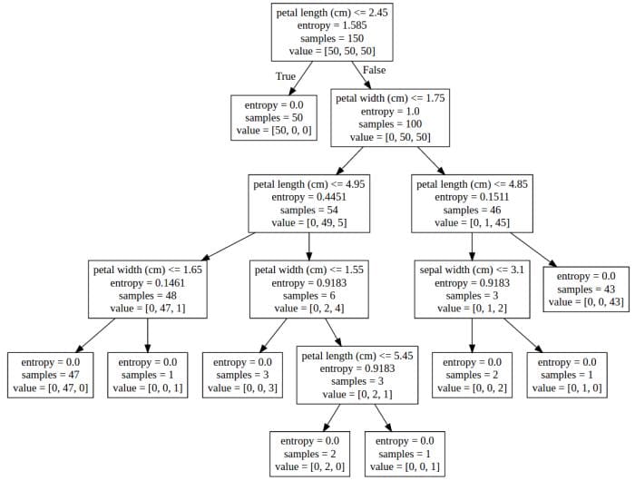 Decision tree graph