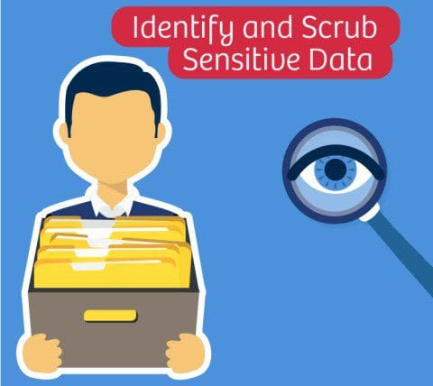 Scrub sensitive data