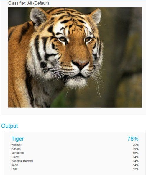 ibm-visual-recognition-tiger