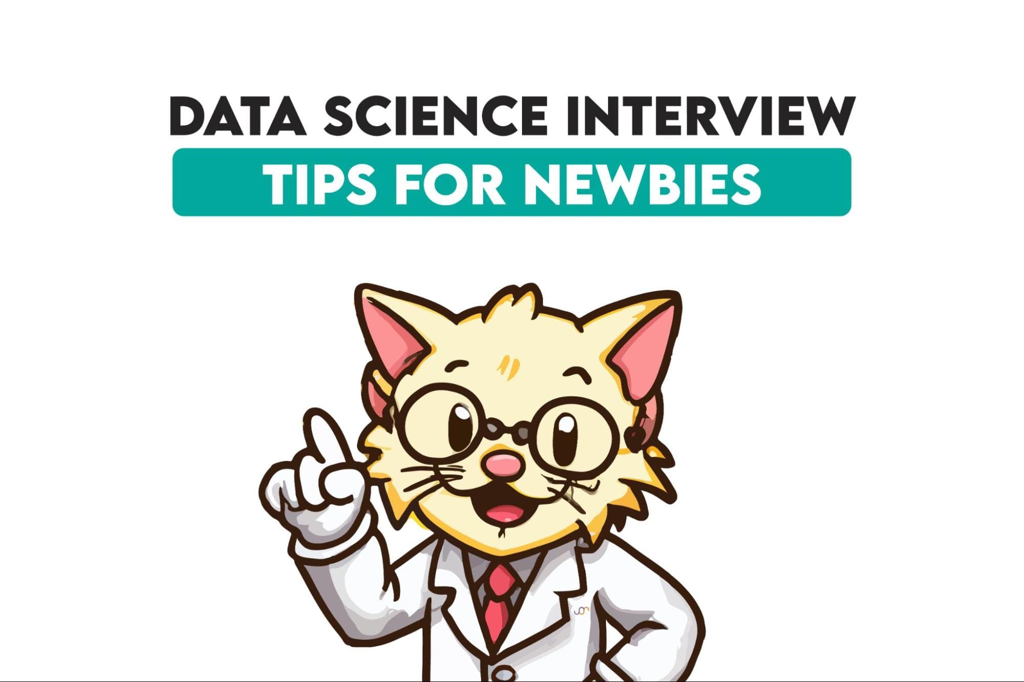 More Tips for Successfully Navigating Beginner Data Science Job Interviews