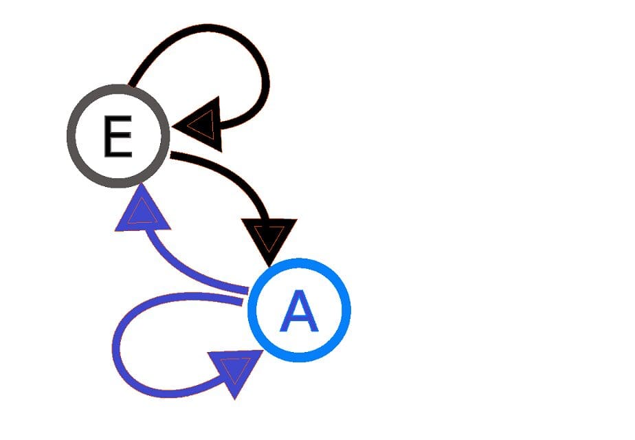An Introduction to Markov Chains