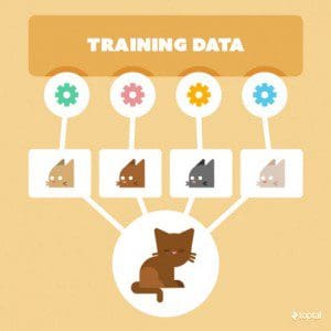 7 Ways to Get High-Quality Labeled Training Data at Low Cost - KDnuggets