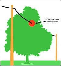 vegetation-power-lines