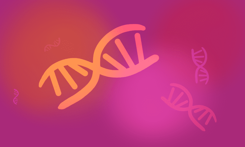 Optimizing Genes with a Genetic Algorithm